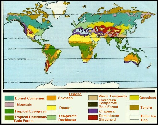 Earth's Major Biomes. { September 2, 2010 @ 9:45 pm } · { Uncategorized }